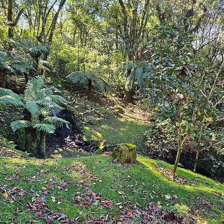 Cantinho Das Oliveiras. Gramado Ngoại thất bức ảnh