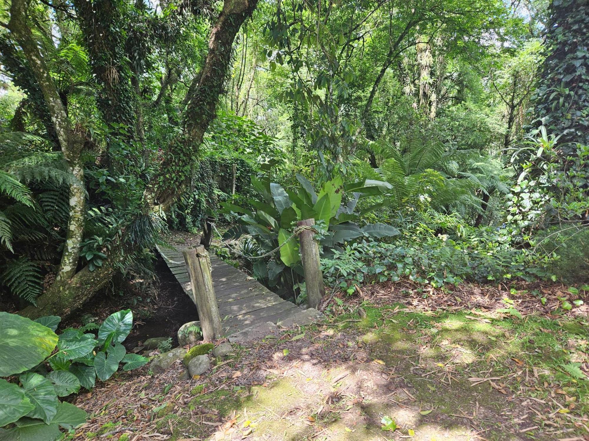 Cantinho Das Oliveiras. Gramado Ngoại thất bức ảnh