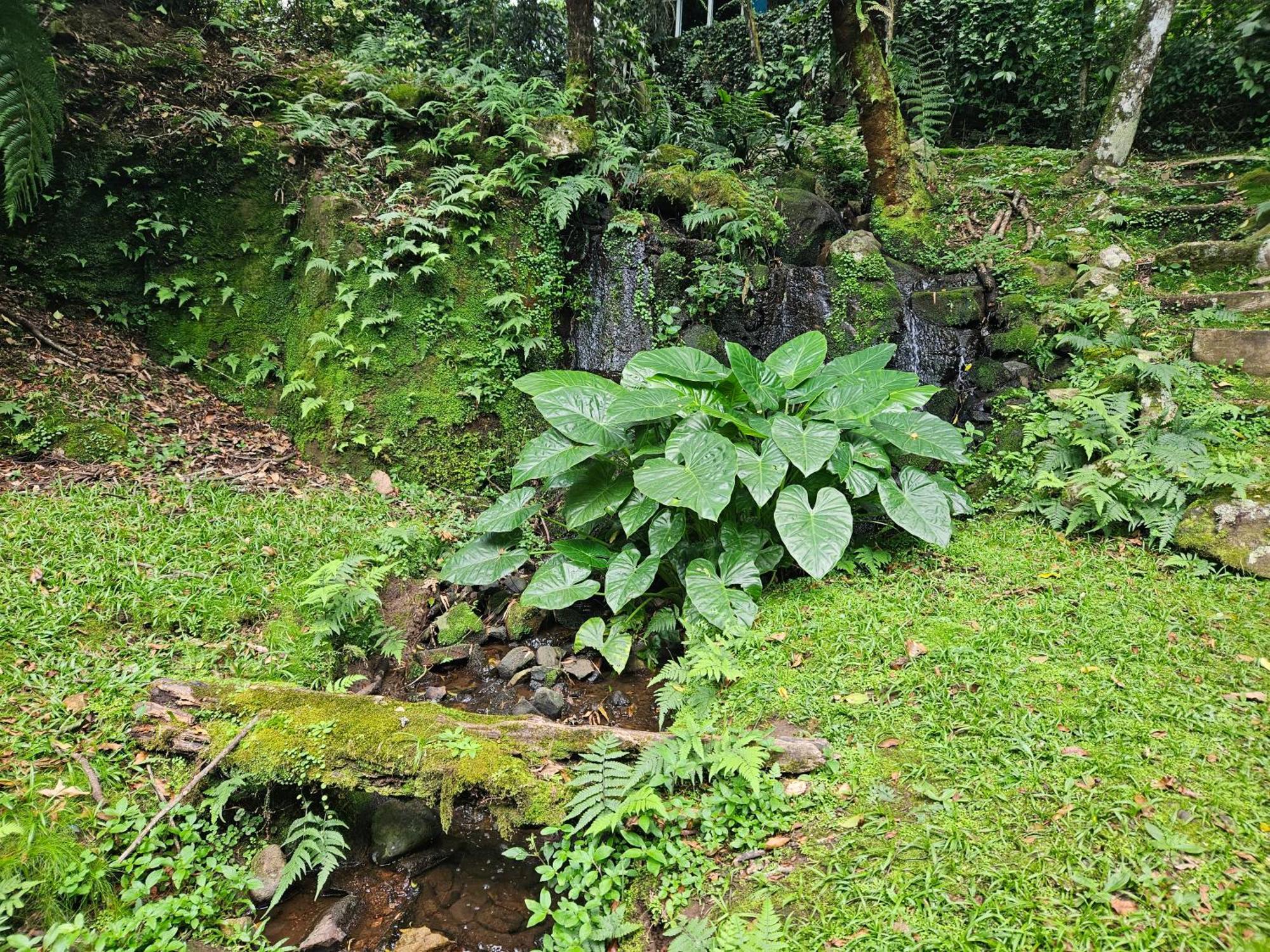 Cantinho Das Oliveiras. Gramado Ngoại thất bức ảnh
