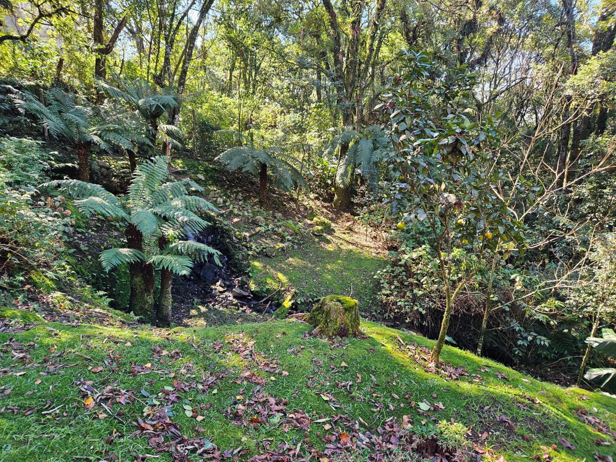 Cantinho Das Oliveiras. Gramado Ngoại thất bức ảnh